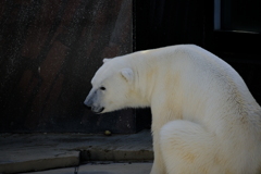 ややお疲れかな