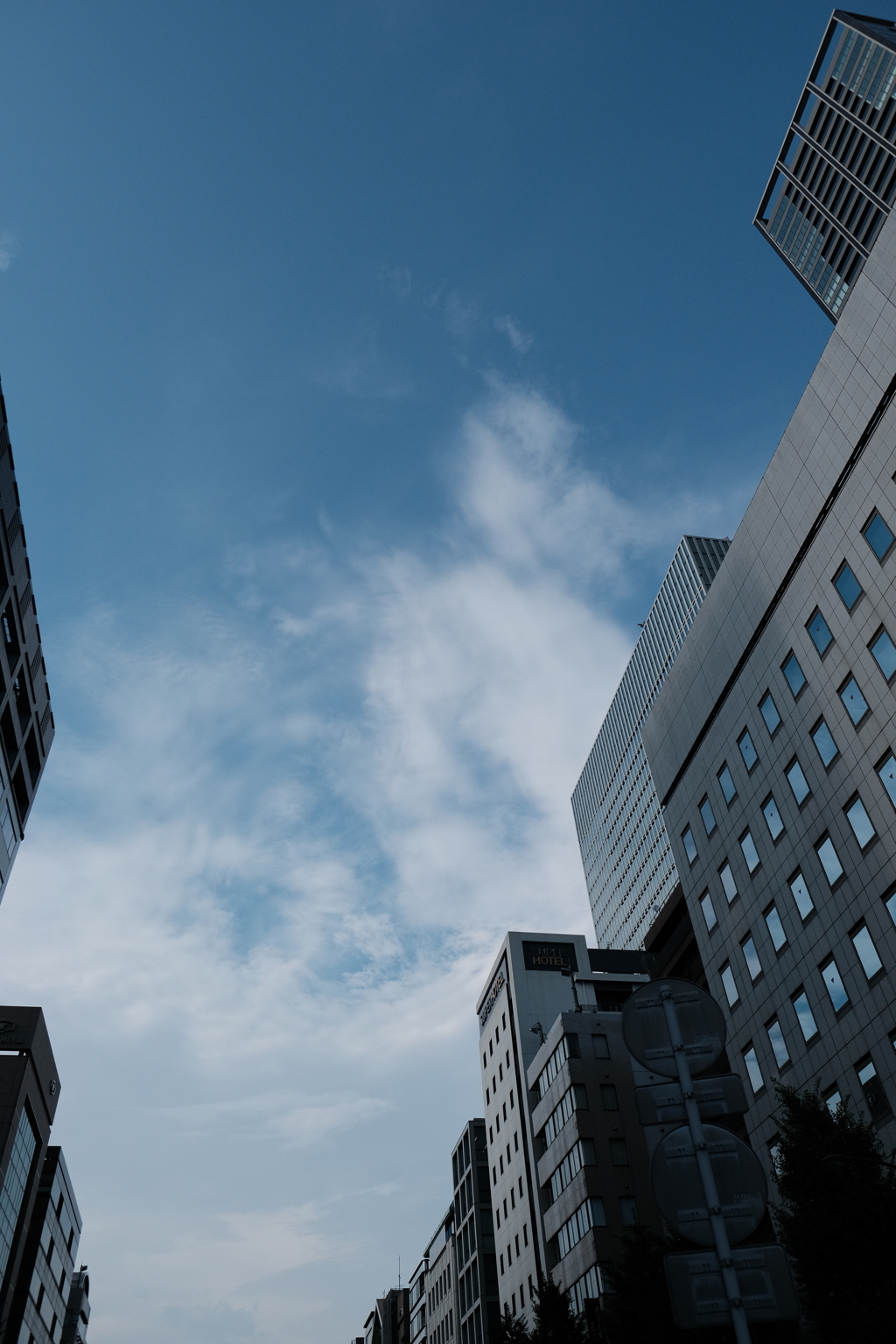 少し控えめの夏空