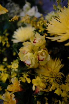 マンゴ色がテーマみたい