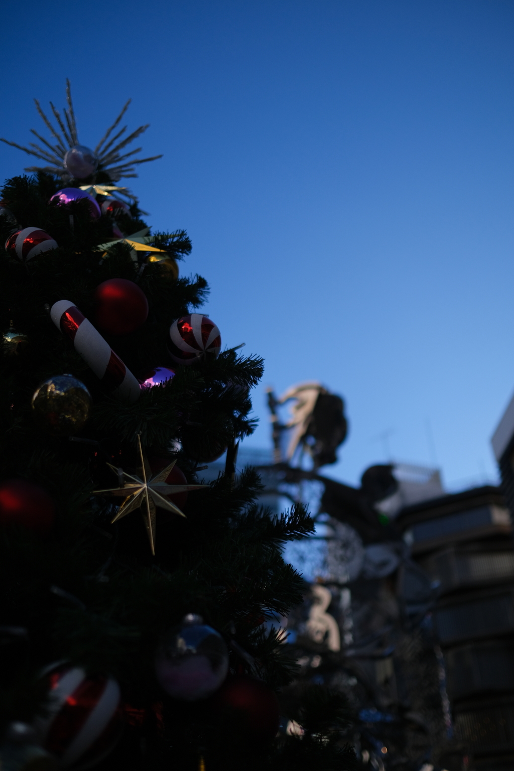 新宿駅のクリスマスツリー