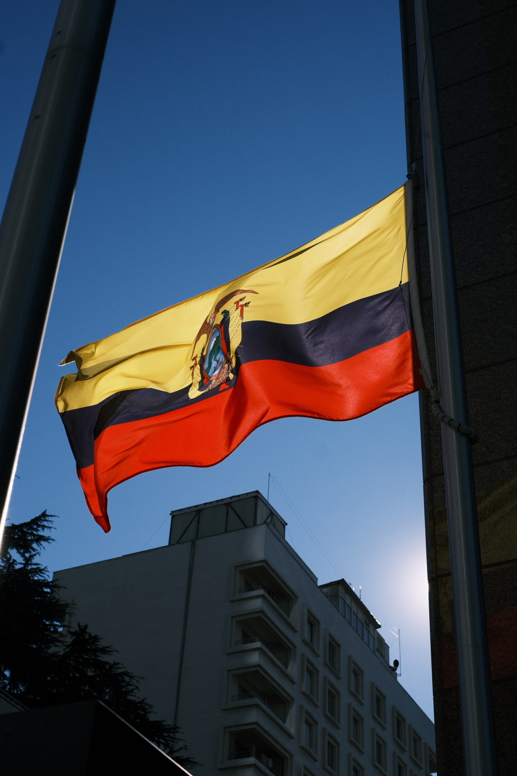 どこの国旗かしら