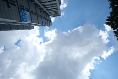 シンガポールは常夏ですが