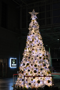 クリスマスツリーその２