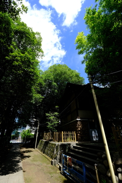 夏の渋谷その２