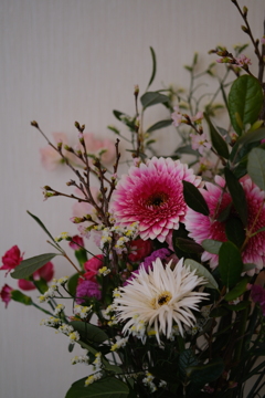 新春っぽいですね