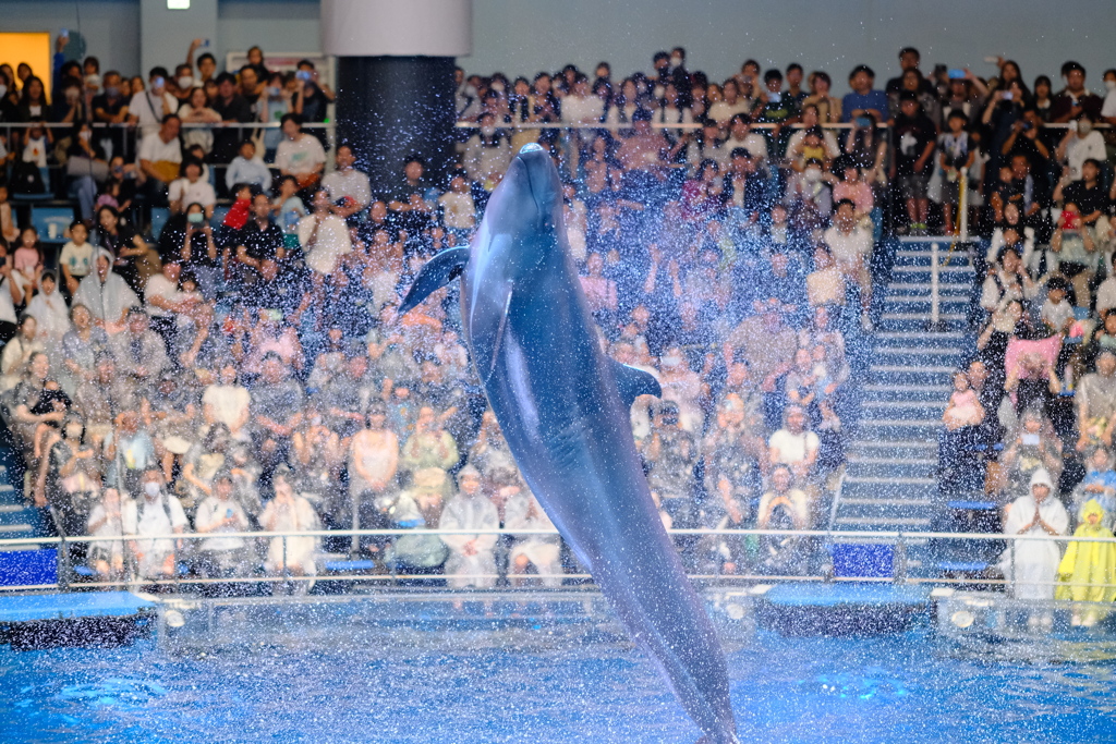 目が合ったような気が