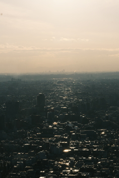 都庁展望台より