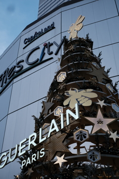 クリスマスツリーその３