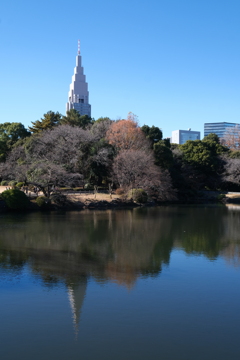 平日の御苑は空いております