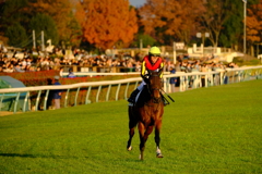 さあ頑張ろう！