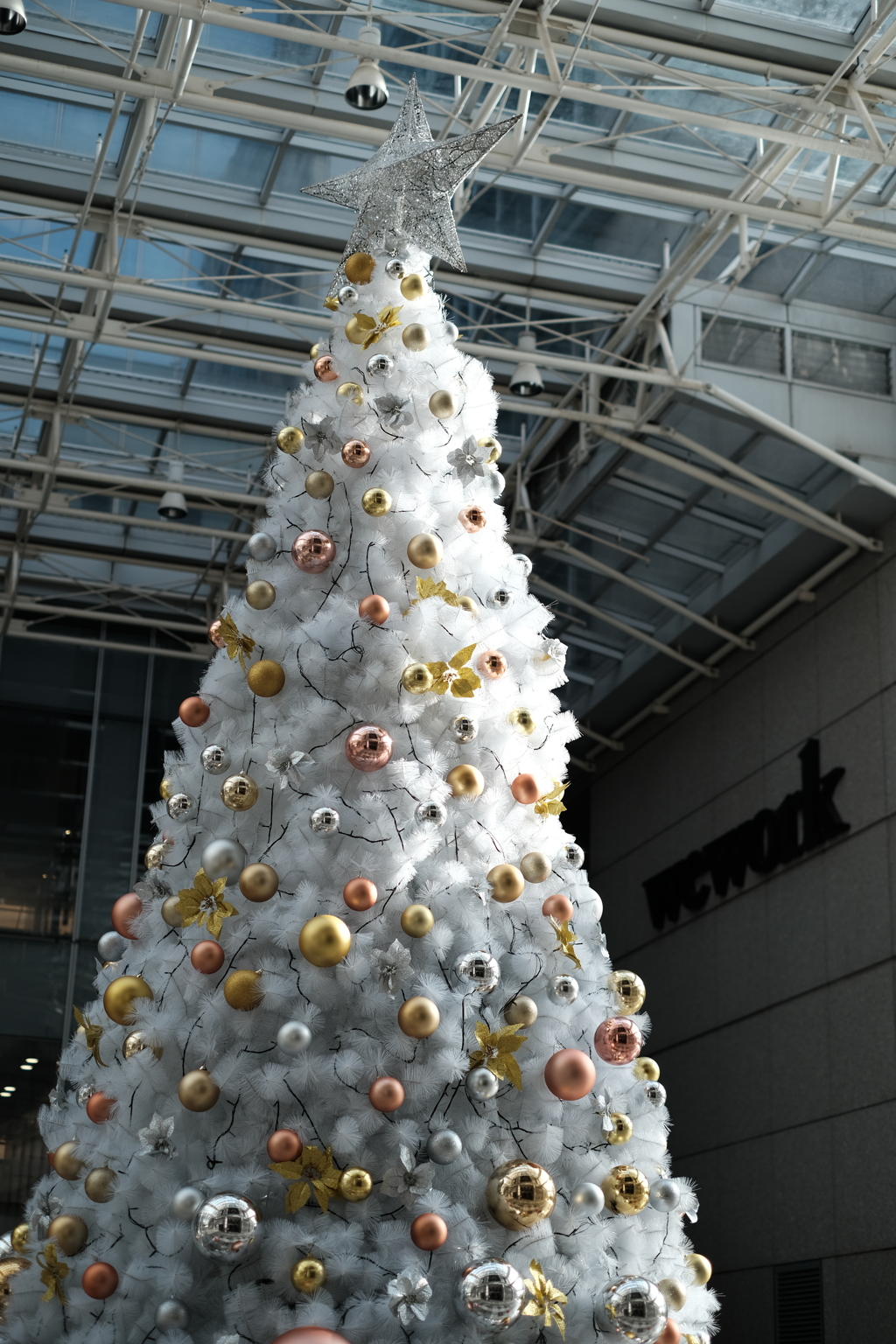 クリスマス準備始まる