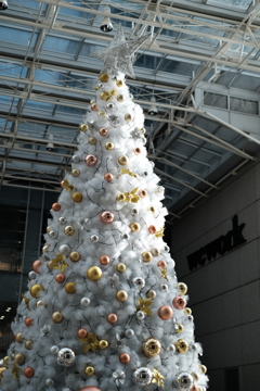 クリスマス準備始まる