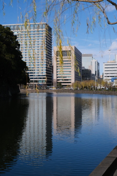 大晦日の皇居大手堀