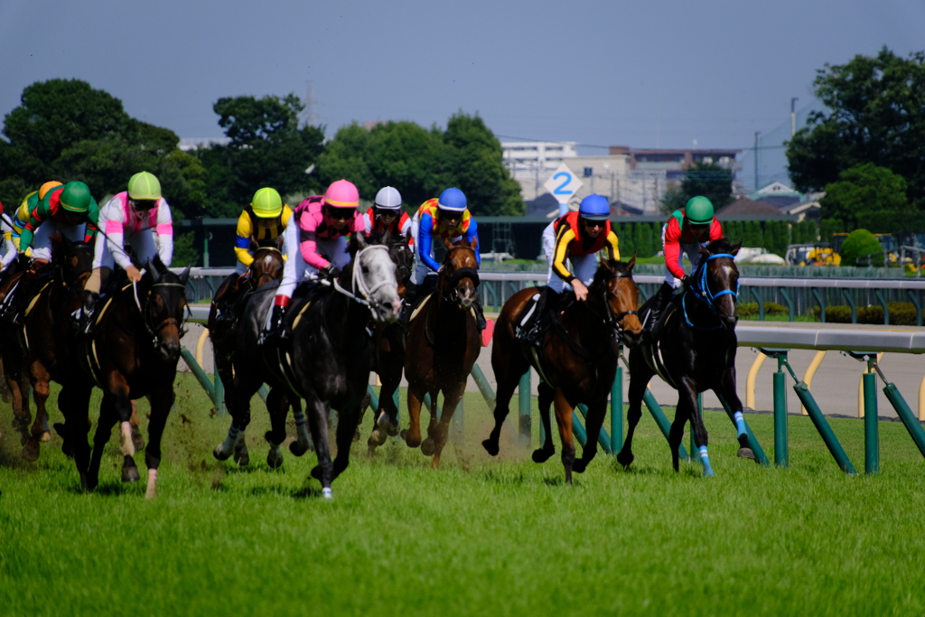 東京競馬最終日