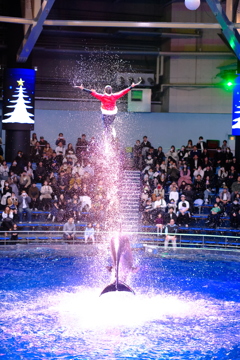 クリスマスバージョン