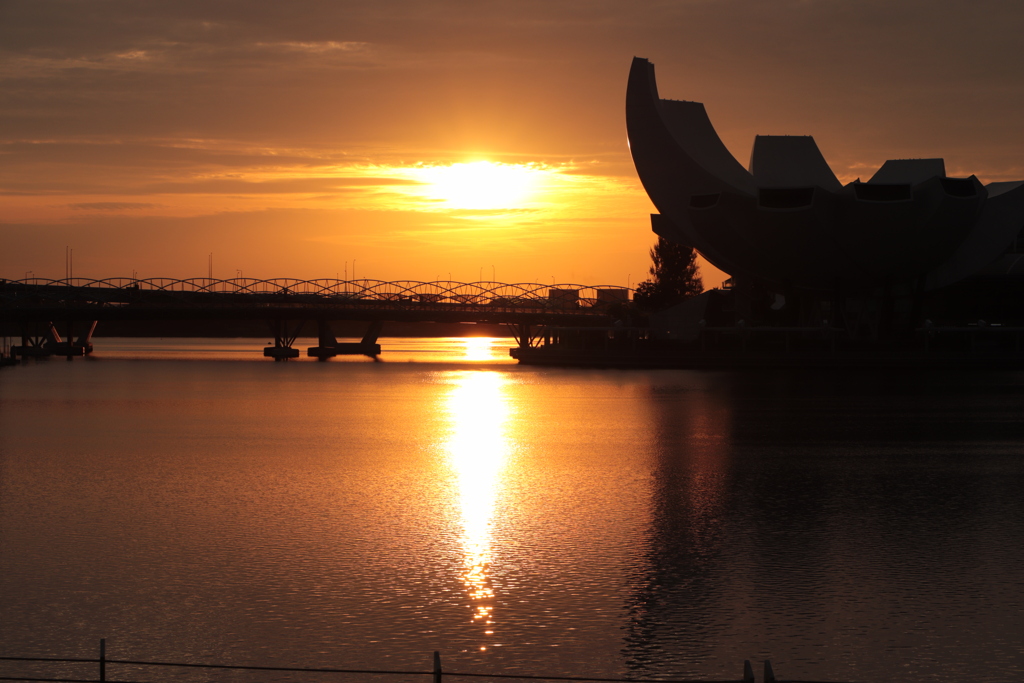 Bayfront 
