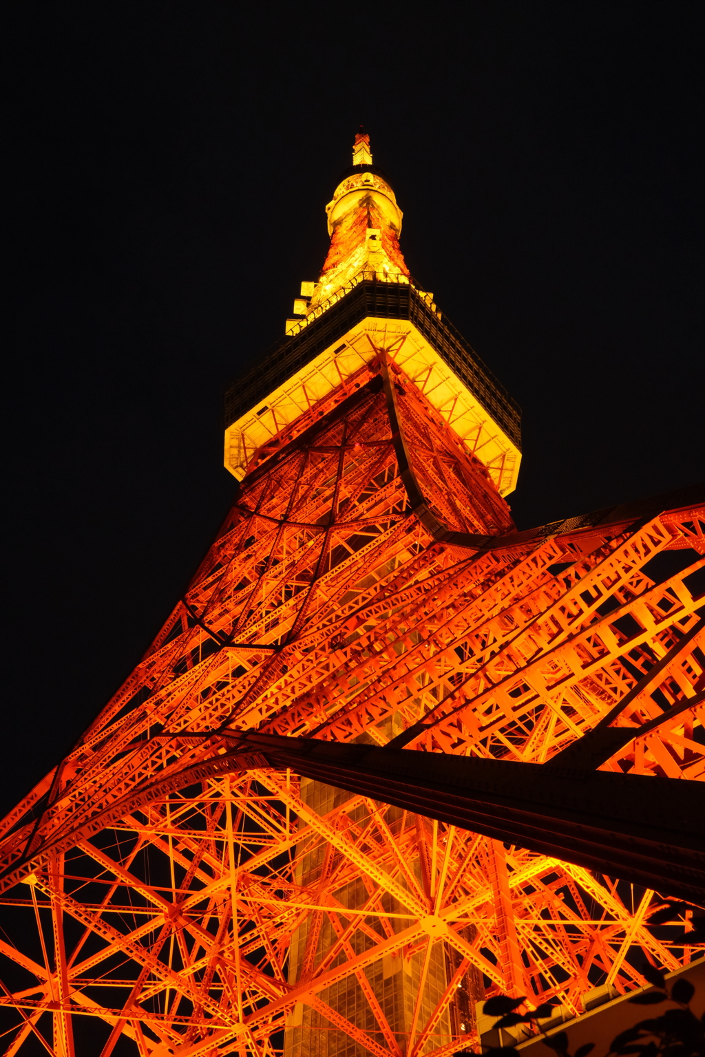 見上げてしまう