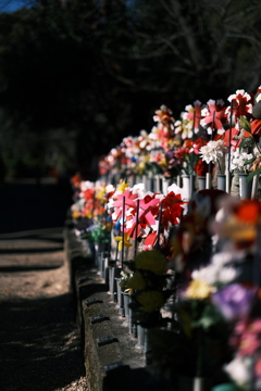 増上寺のお地蔵さま