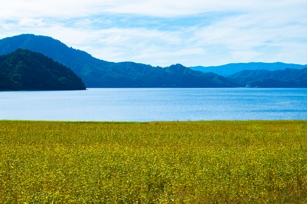 田沢湖の景色3