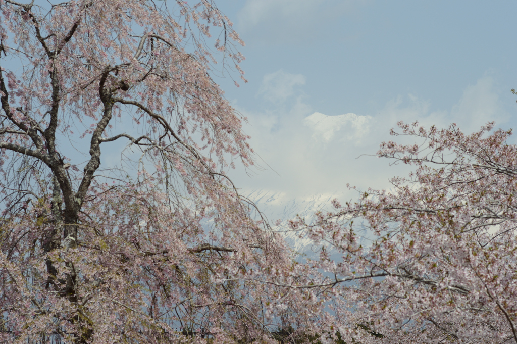 春の一日