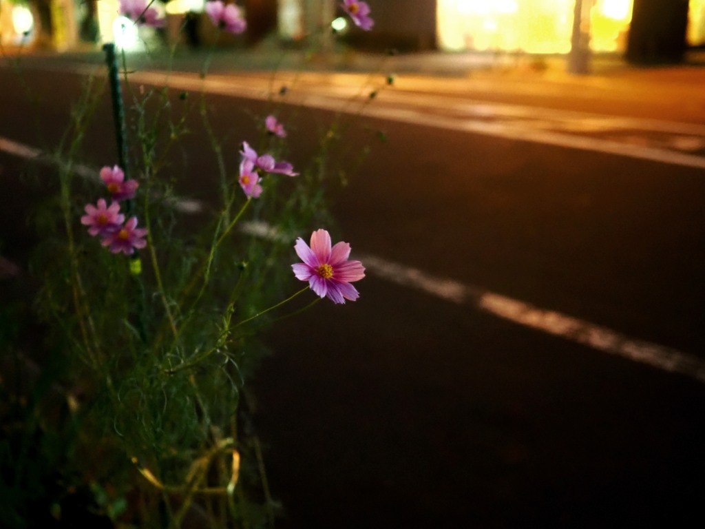 遅くなった日・・☆