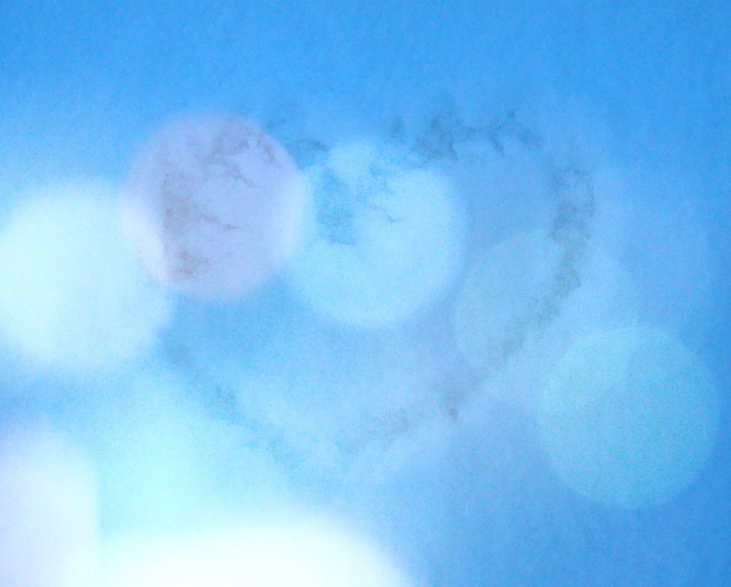 雪の画用紙に・・