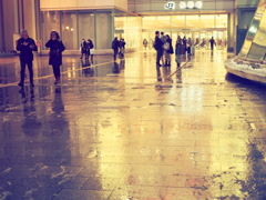 路面は自然のイルミネーション♡