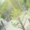 お店の窓からの景色は・・♡