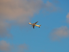 窓から飛行機・・♡