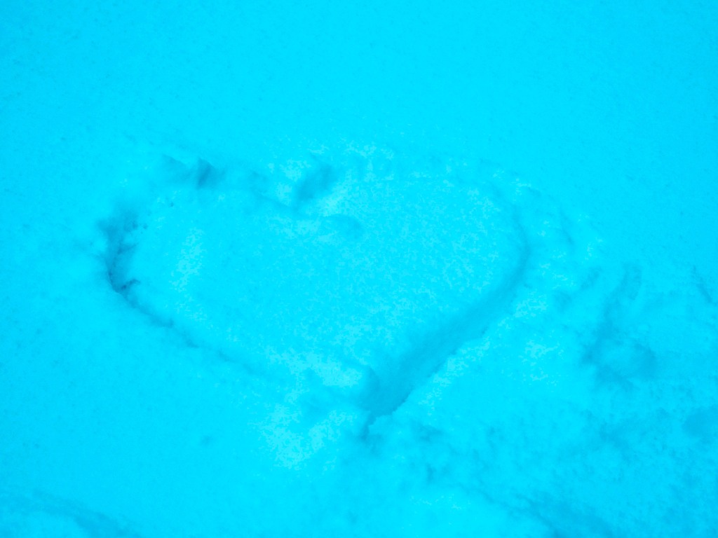 最後の雪ハート☆