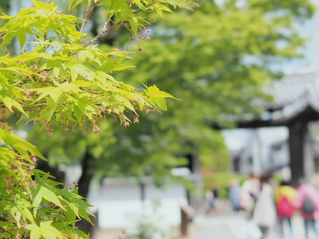 京都編