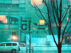 ランチした窓から♡