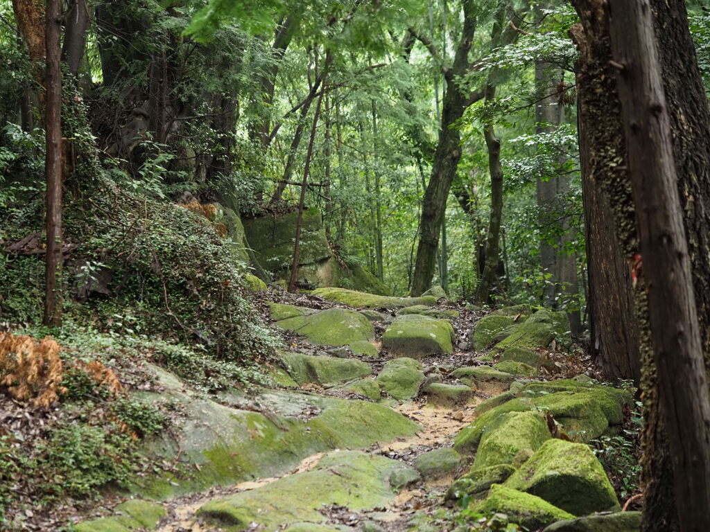 苔を歩く