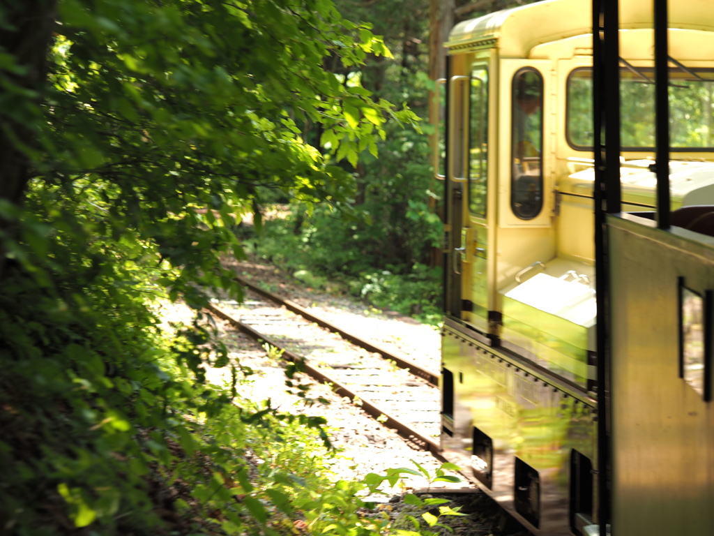 森林鉄道