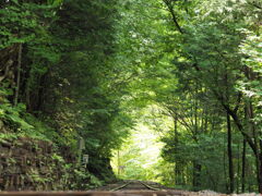 森の線路
