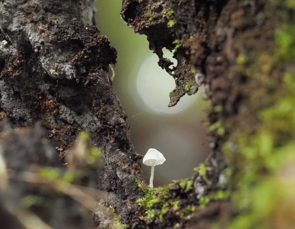 ベストポジション