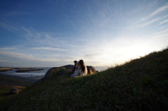 愛犬と海の見える丘へ