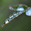 今日は 雨