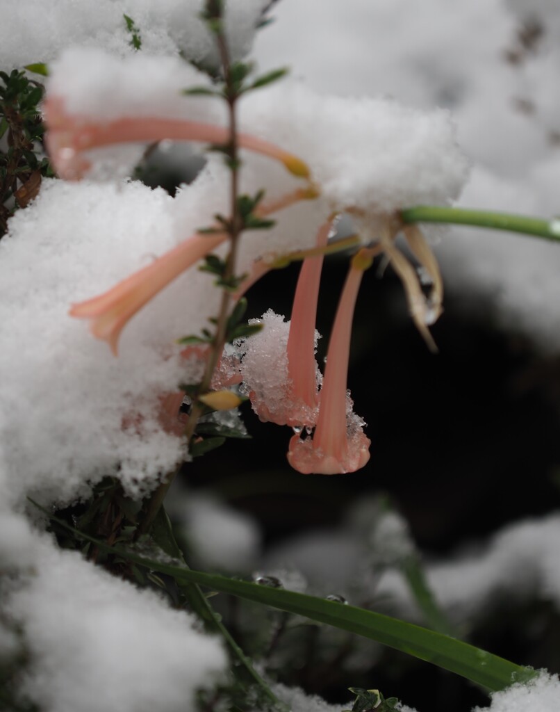 お隣が 頼りです