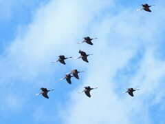 大空 を