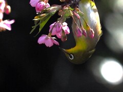 一年ぶりの 出逢い