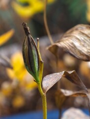 初めて 付きました