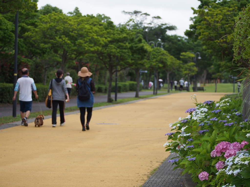 早朝の公園にて