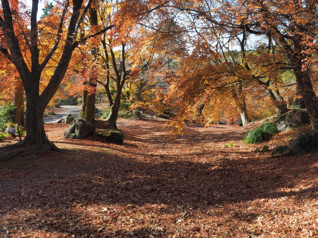 12月３日の 三十路園