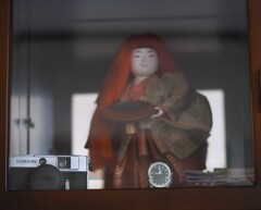 50年来の 同居人