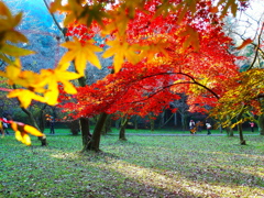 朝の 光の下で