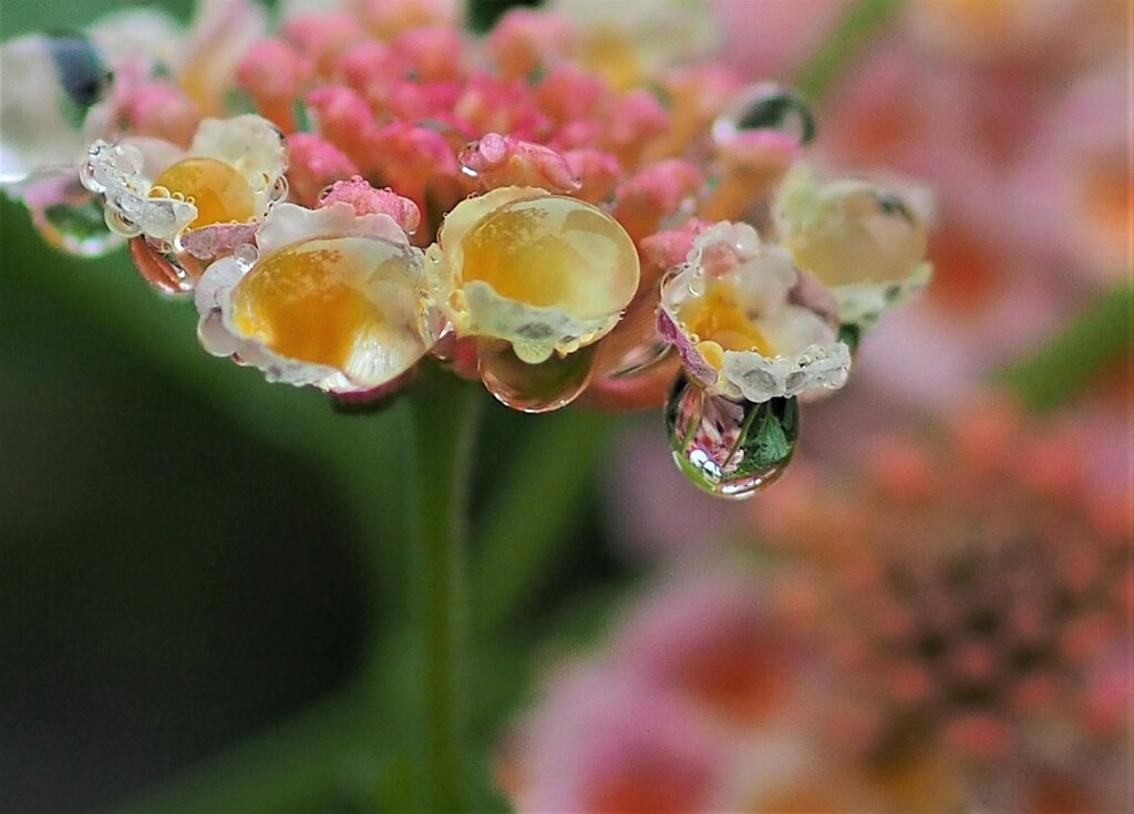 雨上がり