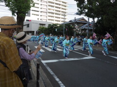 諫早 のんのこ祭
