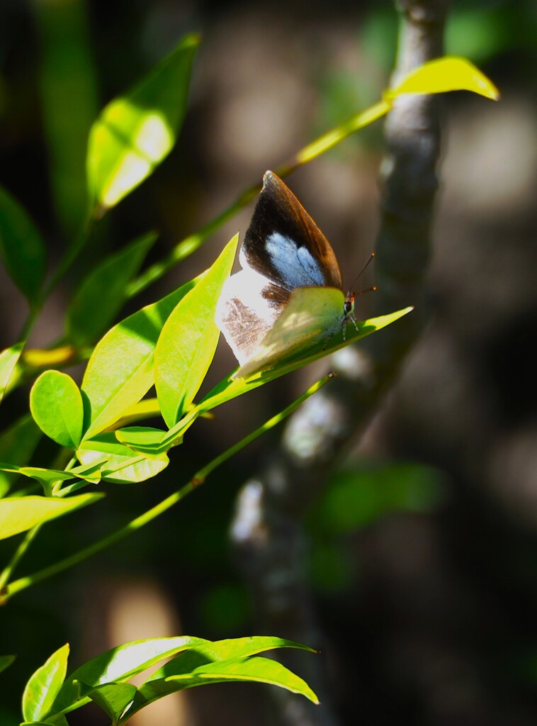 一瞬で 逃げられる