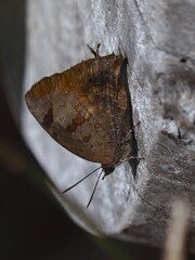 今年も 撮れたよ